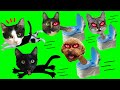 Skibidi Toilet But They Are Animals In The Mysterious House Of Luna And Estrella Skibidi Toilet