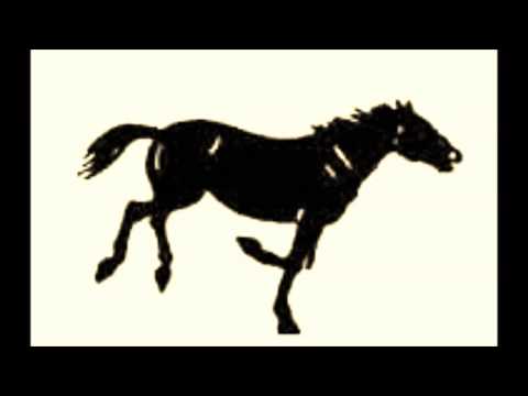 Free animated gifs Horse GIF ANIMATIONS