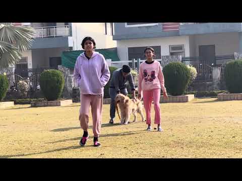 Co-Co, Kuhu, Manya & Geo in Sunrise Megacity Park | 25/12/2023