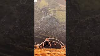 Download lagu wow 😮 #youtube.com #youtube.com ##mp3 #short mp3