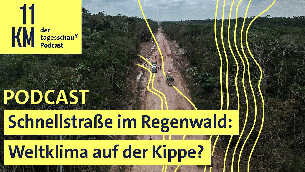 Schnellstraße im Regenwald: Weltklima auf der Kippe?