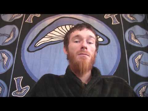 tokin daily: why i love weed