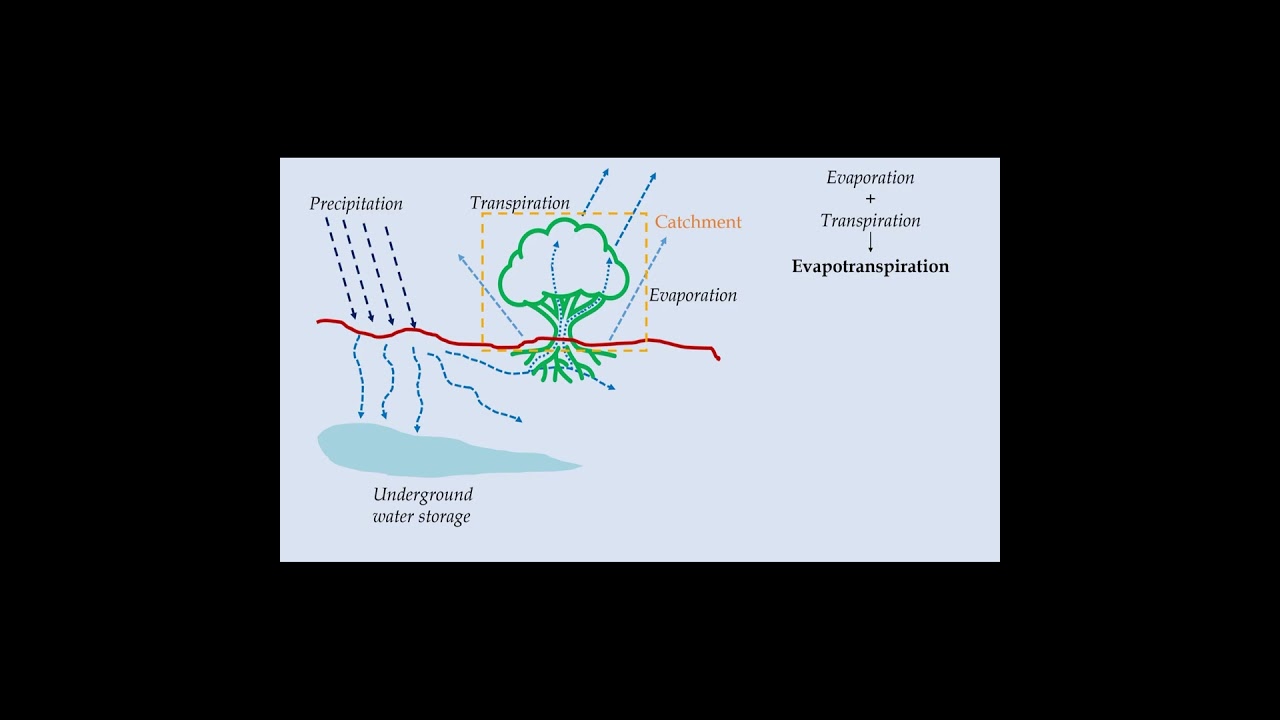 Introduction to Evapotranspiration #shorts #civilengineering  #hydrology