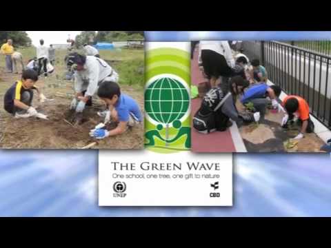 International Year of Biodiversity
