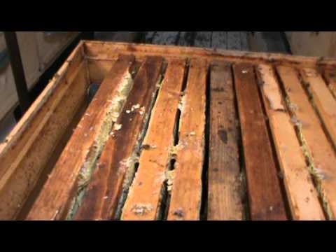 9. Bazele Matematicii: Lectia5 - Inmultirea 9/9