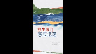 观音山 中华大悲法藏佛教会住持  龙德严净仁波切：放生法门感应迅速