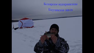 Ссылка