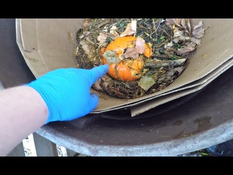 Outdoor worm bin status following a few freezing nights so far - vermicomposting