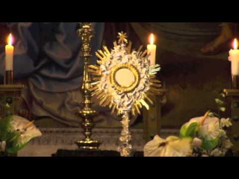 Click to Watch the Michael Terheyden on 'Why I am Catholic: Philosophy and Ideas Matter'  video