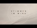 Dieser Drop trifft mitten ins Herz…  | STIMMEN IM WIND (MARVEN GER COVER)