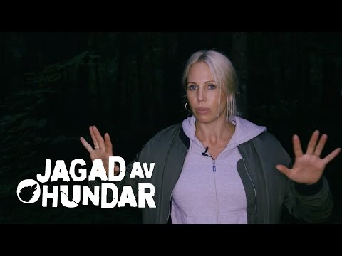 Historien om Skogen | Malin Gramer på inspelningsplats för Jagad av hundar, Tv3
