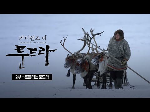 지구 온난화의 경고, 기후변화로 고통받는 툰드라 | SBS 스페셜 [가디언즈 오브 툰드라 EP.02]