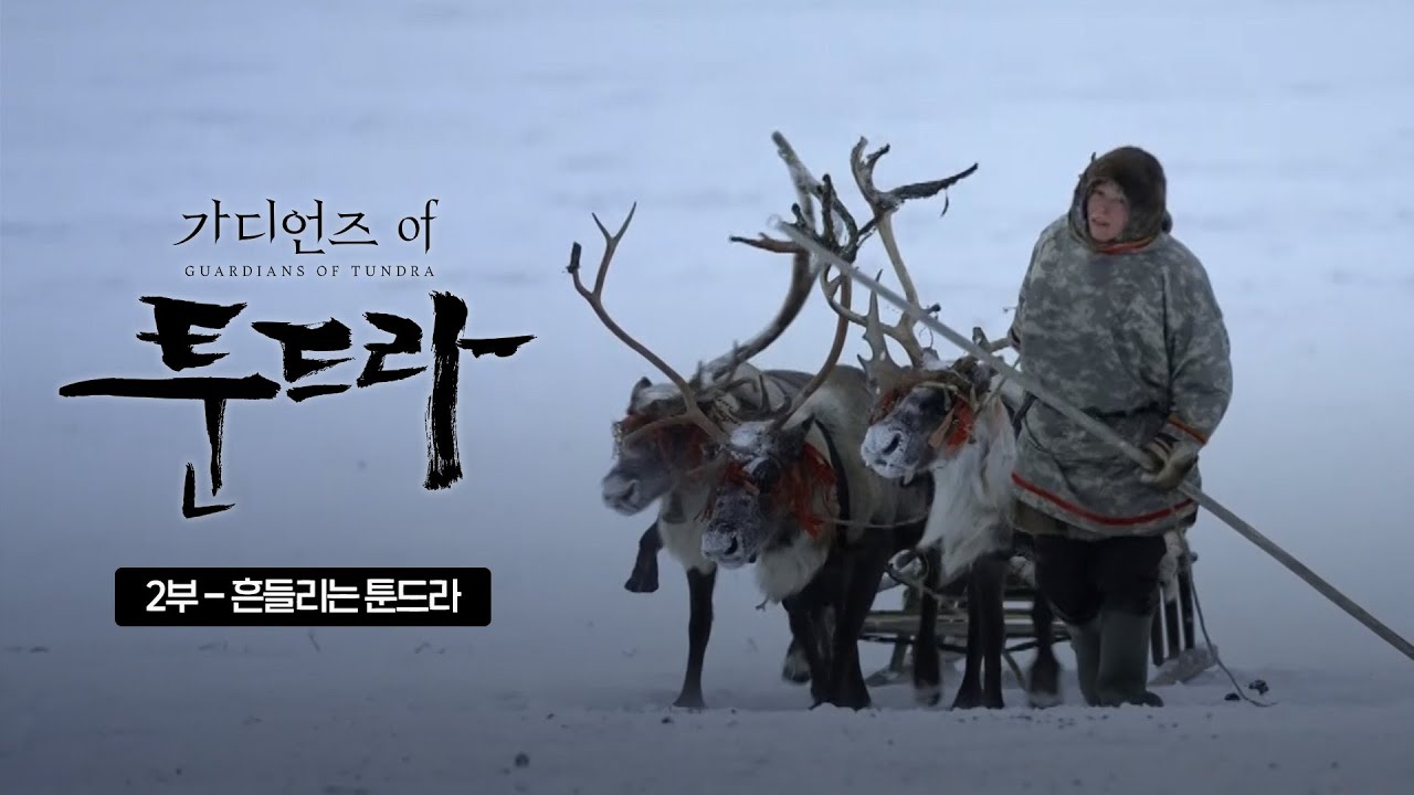 지구 온난화의 경고, 기후변화로 고통받는 툰드라 | SBS 스페셜 [가디언즈 오브 툰드라 EP.02]