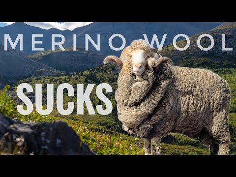 Merino Wool is Overrated!