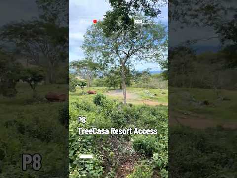 Lot P8 Ocean Views | Paseo, El Encanto del Sur | TreeCasa Access