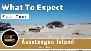Assateague Island  - Beach and Camping - Full Review - Berlin Maryland