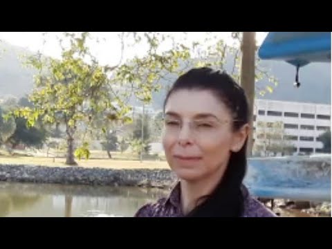 Conexão Ambiente: Michelle Reboita esclarece alerta sobre frente fria