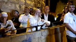 "אנו מציינים את הצומות האחרונים בהיסטוריה" | הרב שרקי בצעדת ט' באב ה-25 של תנועת "נשים בירוק"