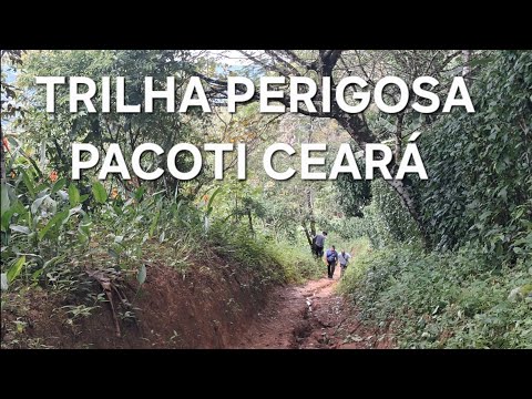 Trinha perigosa na cerra de pacoti Ceará #natureza #aventuranacerra 