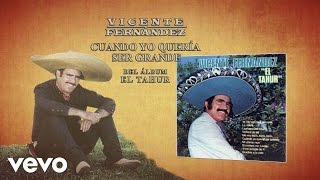 Vicente Fernández - Cuando Yo Queria Ser Grande (Cover Audio)