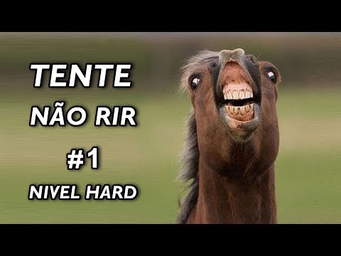 Tente Não Rir Nível Hard #1