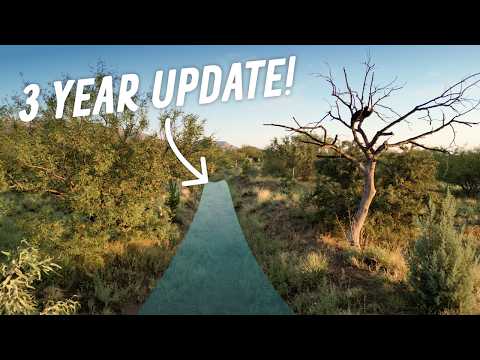 Desert Berm & Swale: SUCCESS or FAILURE?