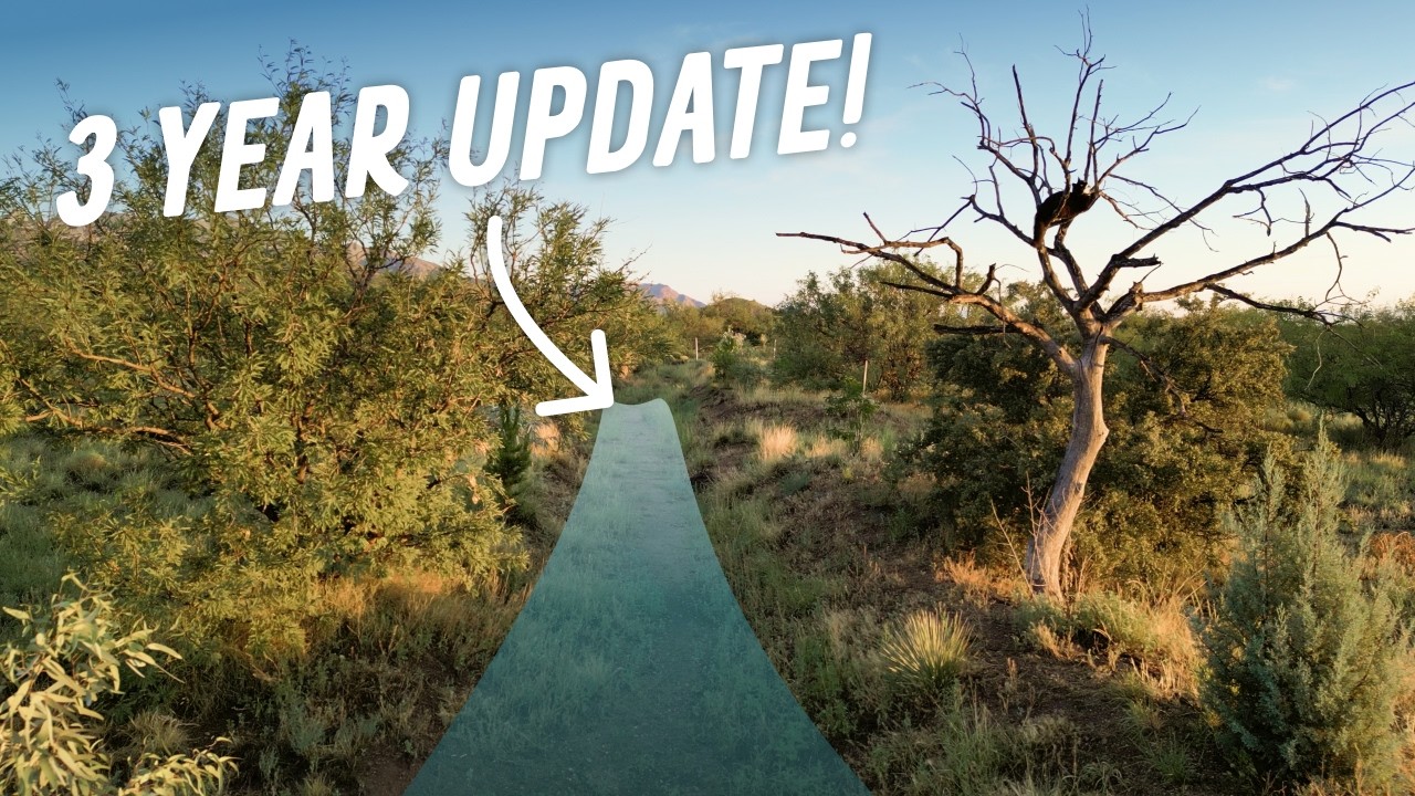 Desert Berm & Swale: SUCCESS or FAILURE?