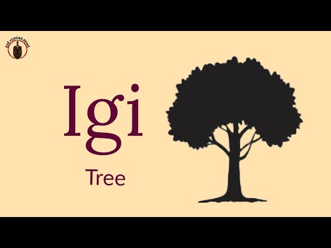 IGI - How To Pronounce and Write Yoruba Words | African Languages