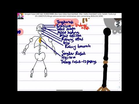 BIOLOGI SPM T4- Bab 14 Sokongan dan Pergerakan dalam Manusia dan Haiwan