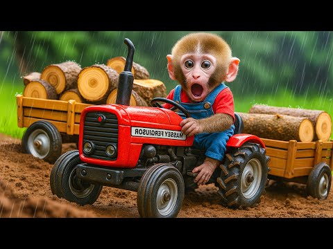 🔥 Monkey Nana’s Tractor Adventure: Brave Rescue from the Deep Pit! 🚜😱 – NANA MONKEY LIFE
