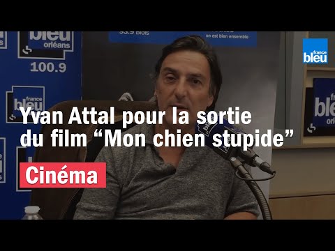 CINÉMA | Yvan Attal nous parle de son fil "Mon chien stupide"
