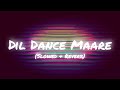Dil Dance Maare Slowed Reverb Tashan