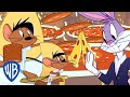 Looney Tunes Speedy Gonzales Saves The Day WB Kids