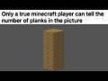 Minecraft Memes