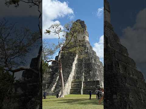 Day Trip: Tikal