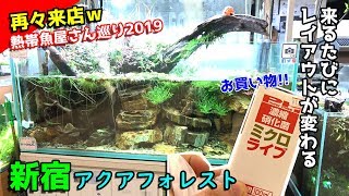 【お買い物】今回はレイアウトと水草を中心に見に行った！色々相談してお買い物!!