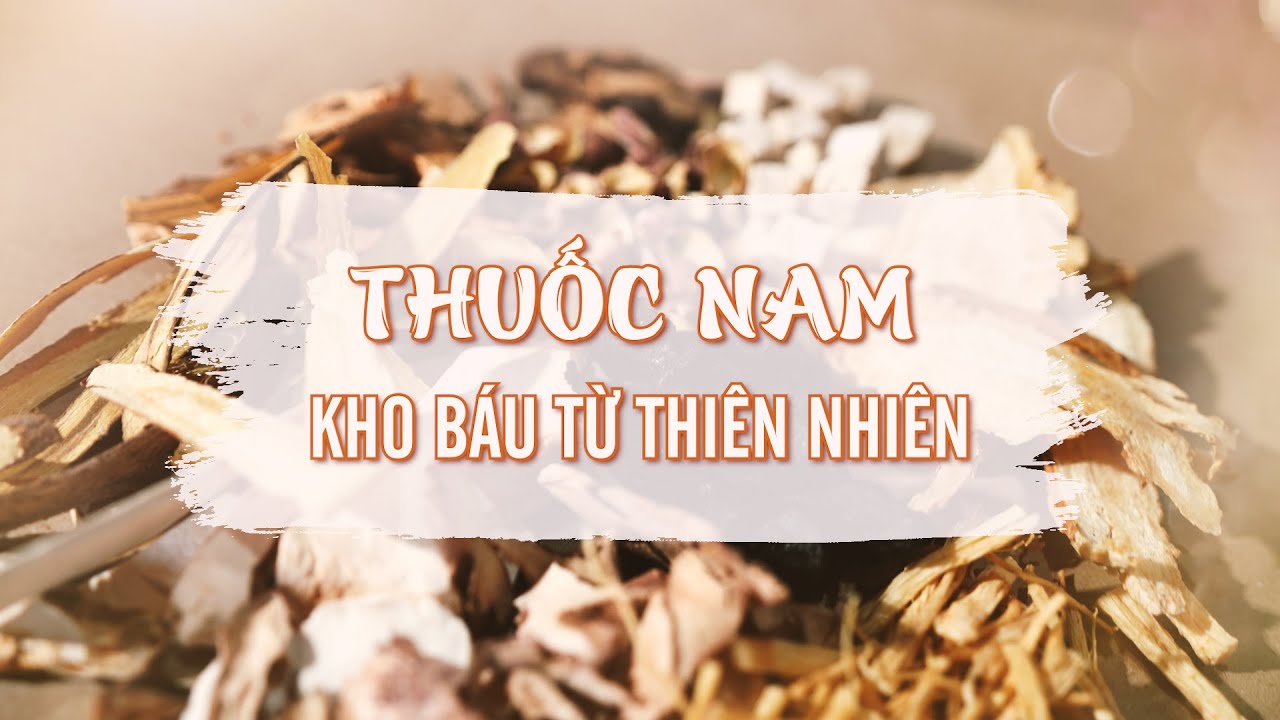 Tinh hoa thuốc Nam: Thuốc Nam - Kho báu từ thiên nhiên| VTV4