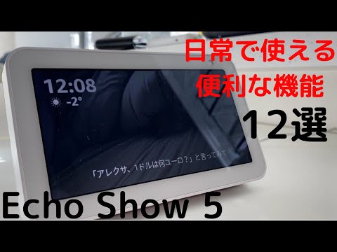 Amazon Echo: 機能は非常に巧妙に隠されている - Alexa アプリですらそれを知りません