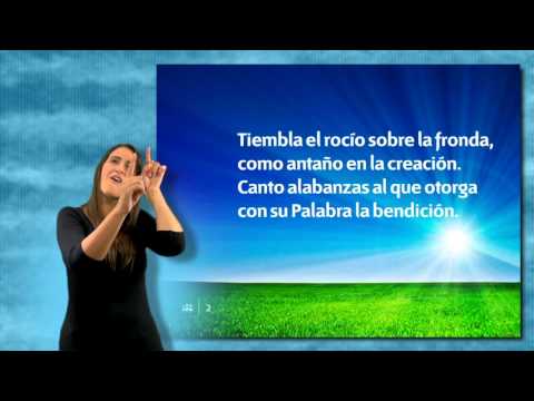 046 LSE  Hoy amanece   720p