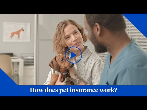 , title : 'How Does Pet Insurance from Nationwide Work?'