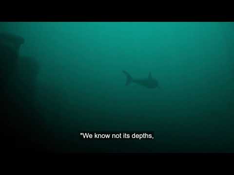 In the Heart of the Sea - Opening monologue