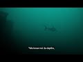 In The Heart Of The Sea Opening Monologue