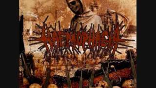 Haemophagia - Appealing Obliteration