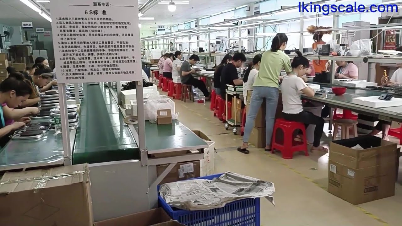 Chinese Digital scale supplier/Pocket scale factory overview