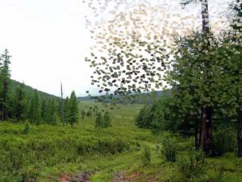 Д Энхзул   Гэргийн дуу