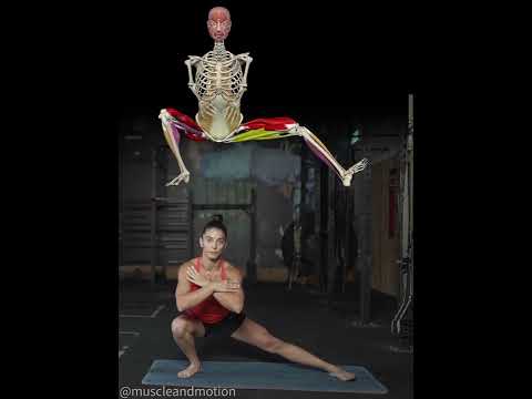 THE COSSACK SQUAT 🔥