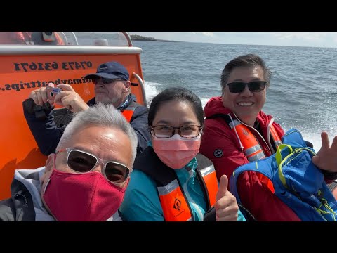 Isle of May, Fife, Scotland