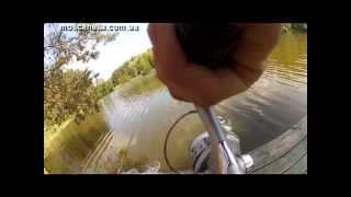 Воблер megabass x-80 rocket darter