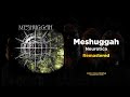 Meshuggah - Neurotica (MASSIVE Remaster)