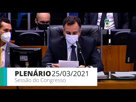 Sessão do CN Câmara - Deputados concluem votação da proposta orçamentária – 25/03/21